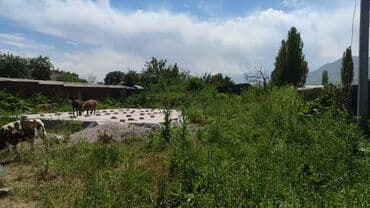 сип панелей дом: Дом, 92 м², 4 комнаты, Собственник, Евроремонт — 2