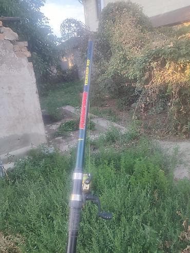 Телескопическое удилище Fisherman TELECARP 330 с катушкой - Длина — 3