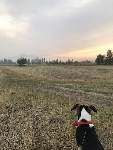 производственные участки: Доброго времени суток! Продается ровный участок у главной трассы с — 2