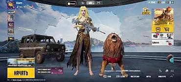 Аксессуары: Игровой аккаунт PUBG Mobile Состав и особенности: - Уровень — 3