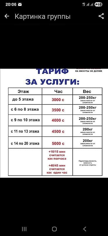 osmo mobile: Стрела 45 м, 300 т — 2