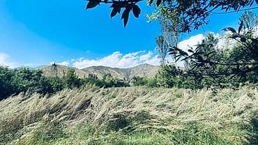 ыссык куль аренда: 15 соток, Айыл чарба үчүн, Сатып алуу-сатуу келишими, Белек келишими — 4