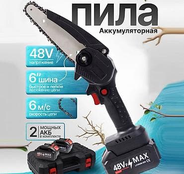 электро пилита: В наличии есть только в черном цвете ! Lithium - аккумуляторная — 1