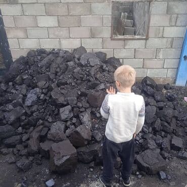 купить сирень в бишкеке: Coal briquettes — 4