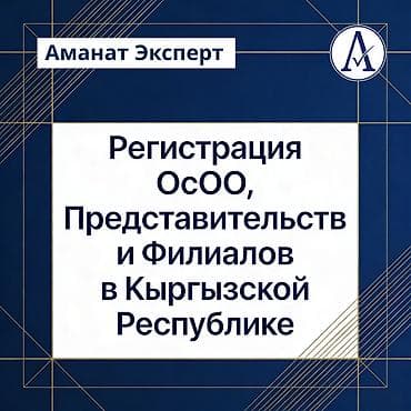 Юридические услуги | Трудовое право, Финансовое право | Консультация, Аутсорсинг