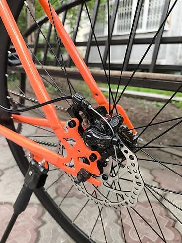 феласипет: Городской велосипед, Рама L (172 - 185 см), Новый — 3