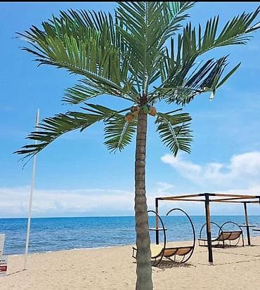 Коттедж, Palm Beach, Чок-Тал, 8 мест