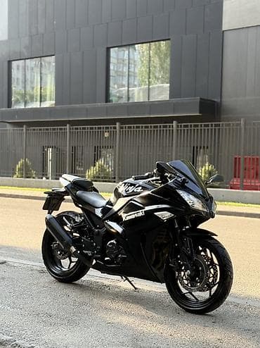 кызыл кия кыз: Kawasaki Ninja 250R (реплика) в фирменном черном цвете. Отличный — 1