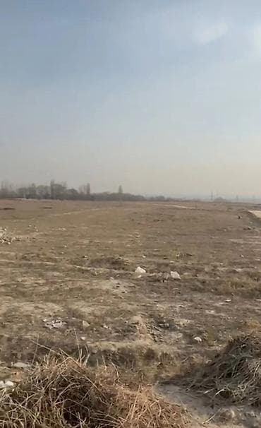 село романовка: 20 соток, Для сельского хозяйства, Договор купли-продажи — 3