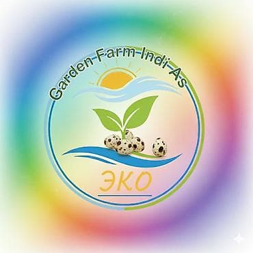 туша баранина: Мясо перепелов отлично подходит как для барбекю так и для шашлыков — 2