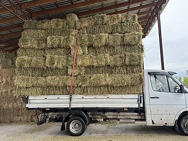 Таза беде тук сатылат