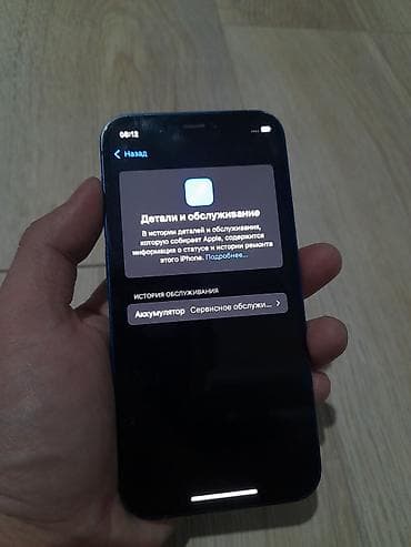 ipad 9 generation: IPhone 12 mini, Б/у, 64 ГБ, Синий, Чехол, 75 % — 6