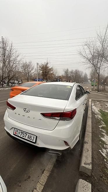 sonata 2014: Hyundai Sonata: 2017 г., 2 л, Автомат, Газ, Седан — 2