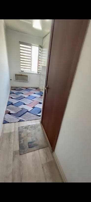 Студия, Толугу менен эмереги бар — 3