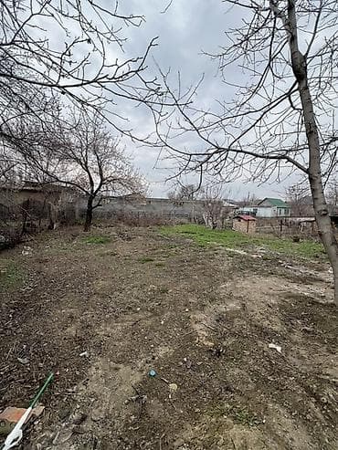 ала арча участок: 4 соток, Для строительства, Красная книга — 1