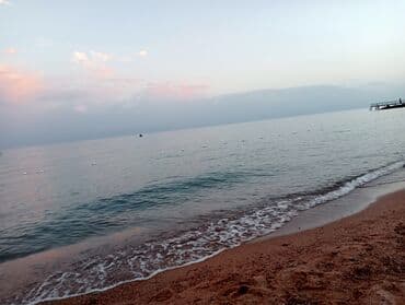 дома под снос: Разбор полов, Снятие потолков, Демонтаж крыш | Демонтаж встроенных шкафов, Демонтаж керамогранита, Удаление краски | Сбивка старой штукатурки, Снятие извести, Снятие побелки | Демонтаж линолеума, Демонтаж плинтуса, Демонтаж теплого пола | Кровля из профнастила, Крыша из шифера, Металлочерепичная кровля 3-5 лет опыта — 8