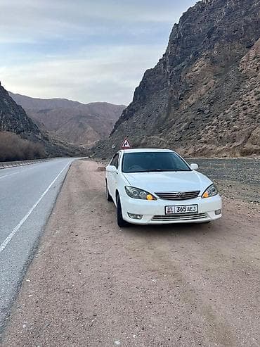 mark ll: Toyota Camry: 2004 г., 2.4 л, Газ, Седан — 2