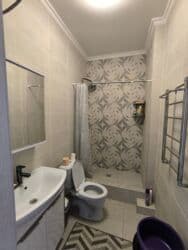 снять на сутки дом с баней: 1 бөлмө, Душ кабинасы, Жаздык, жууркан-төшөк каптары, Кондиционер — 5