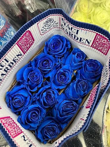 наполнители для подарков: 🤩 Поступление ШИКАРНЫХ роз из Эквадора! 🇪🇨🌹 Бутоны крупные, высокие — 7