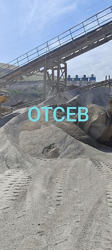 оптом мясо бишкек: Отсев, отсев, отсев, отсев, отсев. отсев бишкек, отсев бишкек, отсев — 1