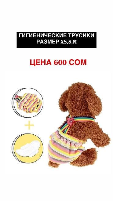 Гигиенические трусики на подтяжках. Для собак девочек во время lalafo.kg да Гигиенические трусики на подтяжках. Для собак девочек во время
