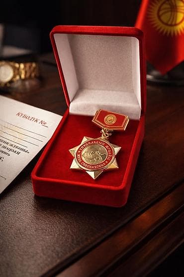 сумка аниме: Памятная награда в подарочном футляре - Наградной комплект: медаль на — 1