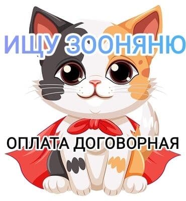 кошка домик: 1 жаш, Эркек, Бычылган, Лотокко барууга үйрөтүлгөн, Курттардан тазаланган — 1