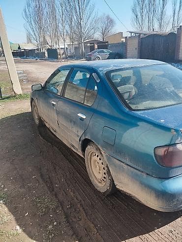Продажа авто: Nissan Primera: 2002 г., 2 л, Механика, Дизель, Седан — 2