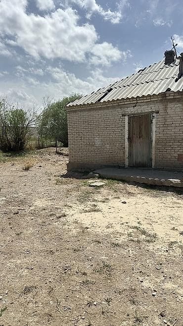земля га: Продается кошар для скота с чабанским 2 комнатным домом из селикатного — 4