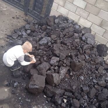 купить сирень в бишкеке: Coal briquettes — 5