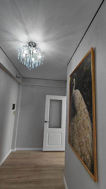 osh flat: 1 комната, 45 м², Пишпек 6 этаж, Свежий ремонт — 1