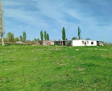 землю в аренду: 25 соток, Для сельского хозяйства — 1