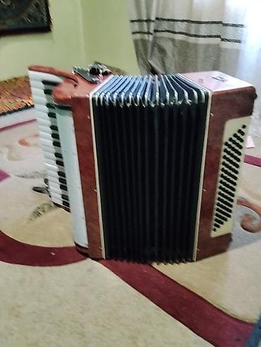 гитаа: Аккордеон (пятиклапанный регистр, классическая компоновка) - — 6