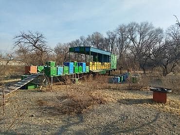 тез арада: Передвижная платформа на 38 ульев, 12-ти рамочных, дадан, тракторный — 4