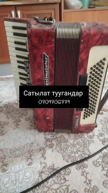 Акардион валтмейстр Стелла 5регстр