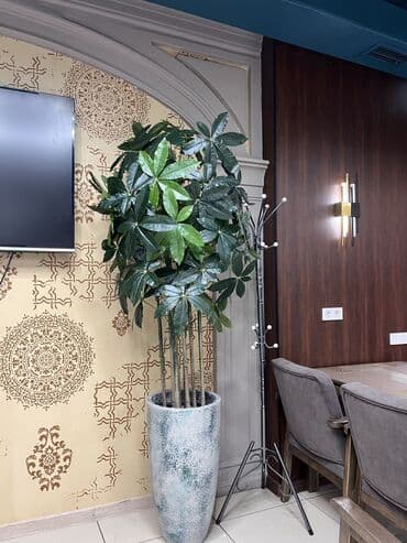 шкаф для одежды новый: 🌿 Мы — Mayram Decor KG, ваш надежный партнёр в создании эффектных и — 25