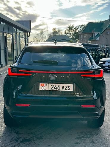 Lexus: Lexus NX: 2023 г., 2.5 л, Бензин, Кроссовер — 2
