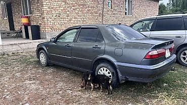 вложений: Honda Torneo: 2000 г., 1.8 л, Автомат, Бензин, Седан — 9