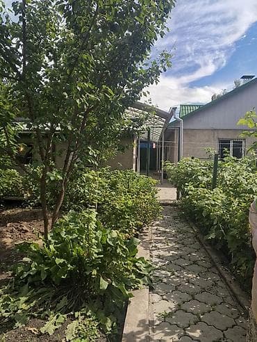 куда: 7 соток, Договор дарения, Тех паспорт, Красная книга — 1