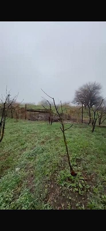 жаны уйлор: 5 соток, Курулуш, Кызыл китеп, Техпаспорт, Сатып алуу-сатуу келишими — 1