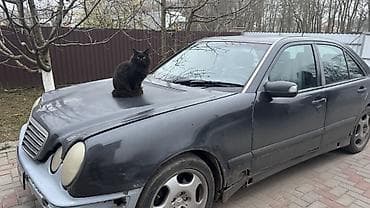 Транспорт: Mercedes-Benz E-Class: 2001 г., 2.7 л, Автомат, Дизель, Седан — 1