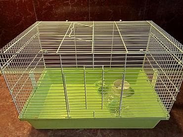 клетки для хомяков бишкек: Клетки для мелких грызунов и не только — 5