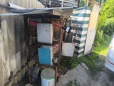 будка доя собаки: Кролятник железныйс кормушками есть одно родильное отделение.Четыре — 3