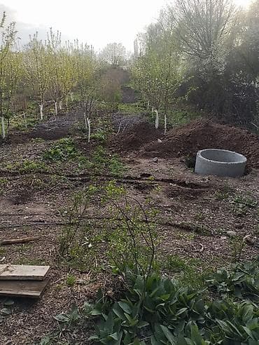 контейнер 20 т: 13 соток, Для строительства, Красная книга, Договор купли-продажи — 3