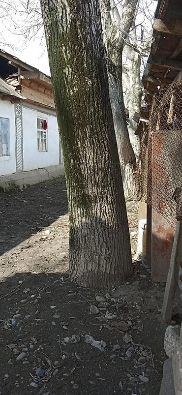 панели для стен пластиковые: Жаңгак — 7