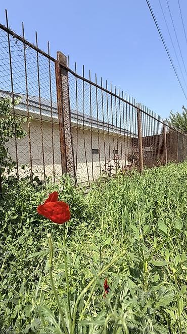 гостовой дом: Продам дачу на панораме напротив Бешкунгея, 5 минут от Южной — 3