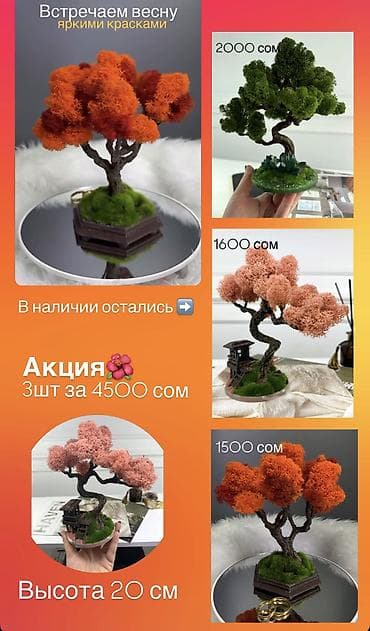 Другой декор и предметы интерьера: Декоративное настольное деревце Бонсай из стабилизированного мха- — 4