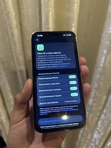 11 pro 64gb: IPhone 13 Pro, 256 ГБ, 79 % — 2