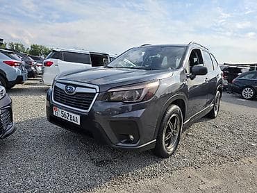 forester 2004: Subaru Forester: 2019 г., 2.5 л, Вариатор, Бензин, Кроссовер — 1