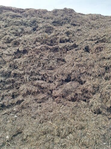 сухой корм для кошек оптом: Продаю сенаж отличного качества с чистой подвяленной люцерны, росыпью — 5